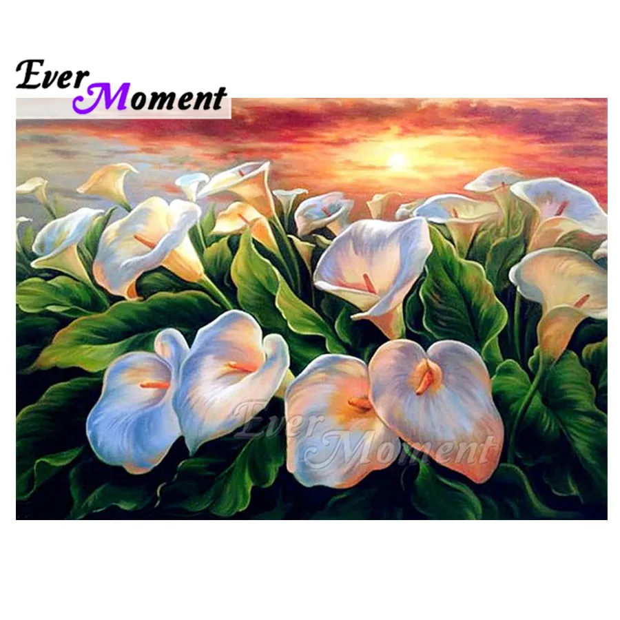 

Ever Moment Diamond Painting White Morning Glory Flower Full Square Mosaic Picture Of Rhinestone Diamond Embroidery ASF1803