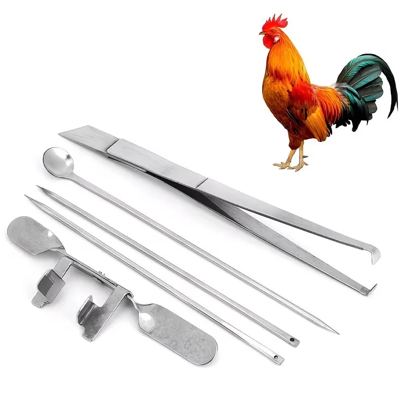 5-Piece Stainless Steel Chicken Castration Tool Set, with Castration Line, Professional Complete Set of Stainless Steel Chicken Castration Tools, Quick Castration Knife and Line for Large and Small Roosters, Chicken Castration Tool with Line, Veterinary Poultry Castration Equipment, Suitable for Poultry Farms