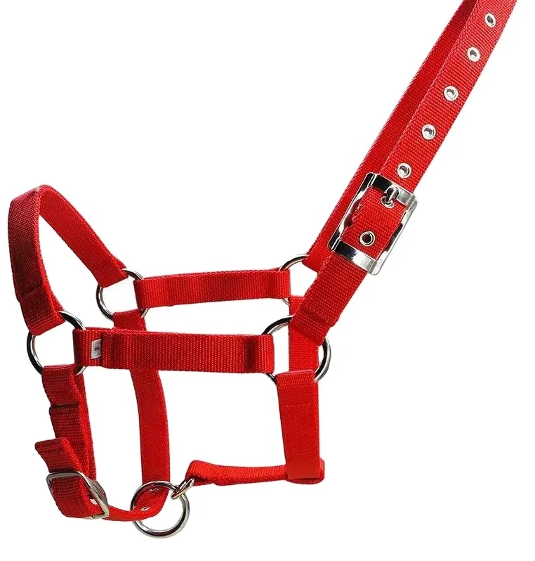 

Hot Sale Horse Equestrian Nylon Halter