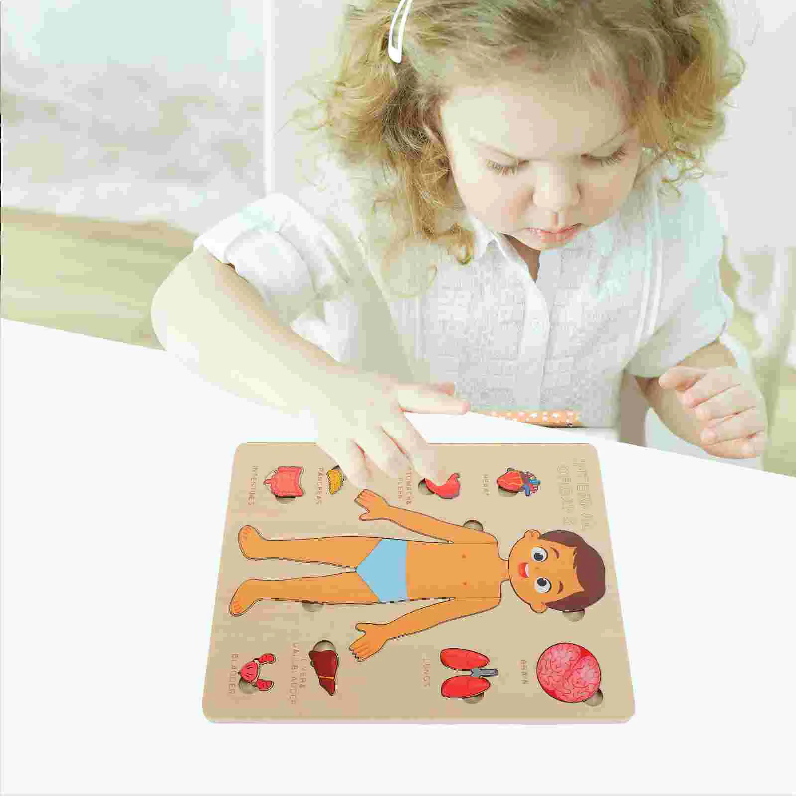 Human Body Structure Puzzle Puzzles Teaching Aids Children Organs Learning Toy Childhood Tool