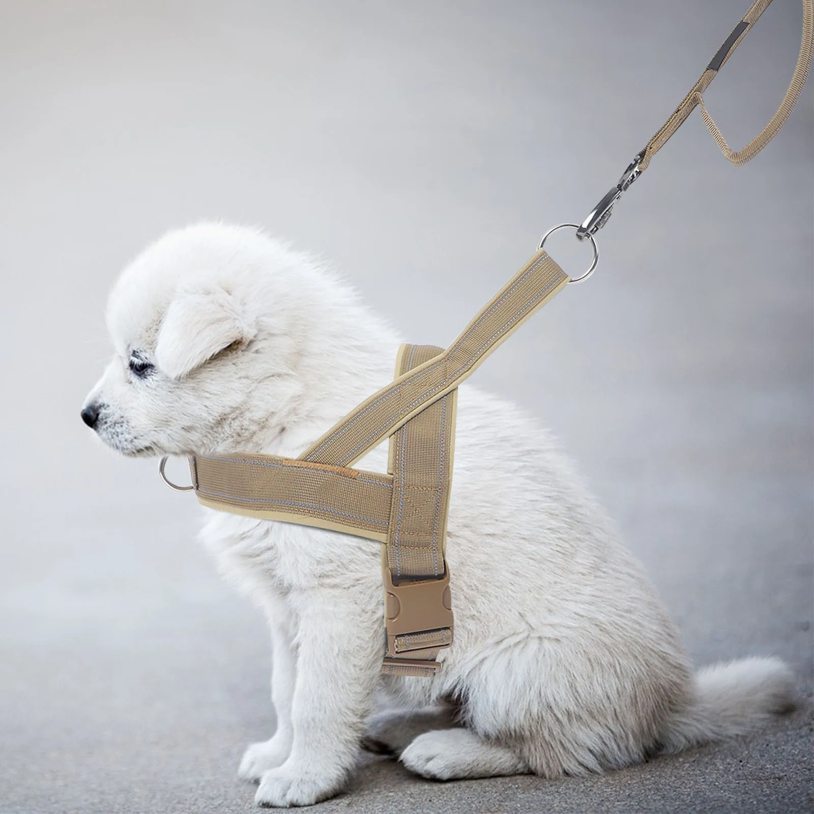 

1Set Pet Dog Harness Set Lightweight Wear-Resistant Adjustable for Medium Large Dogs Outdoor Walking Training Jogging Portable