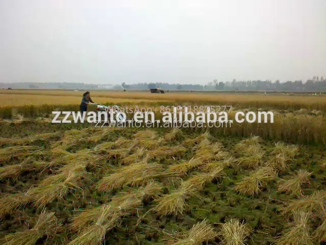 Mini cosechadora de arroz, cosechadora de filipinas