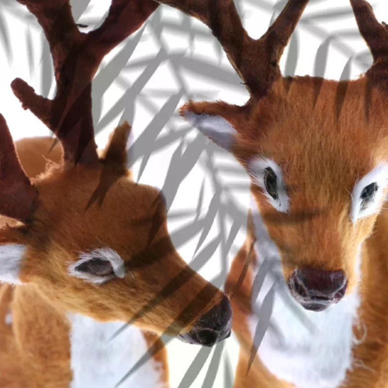 15Cm, 20Cm, 25Cm Ch…