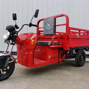 9 Haupttrikeverkäufe mit Motor - №10