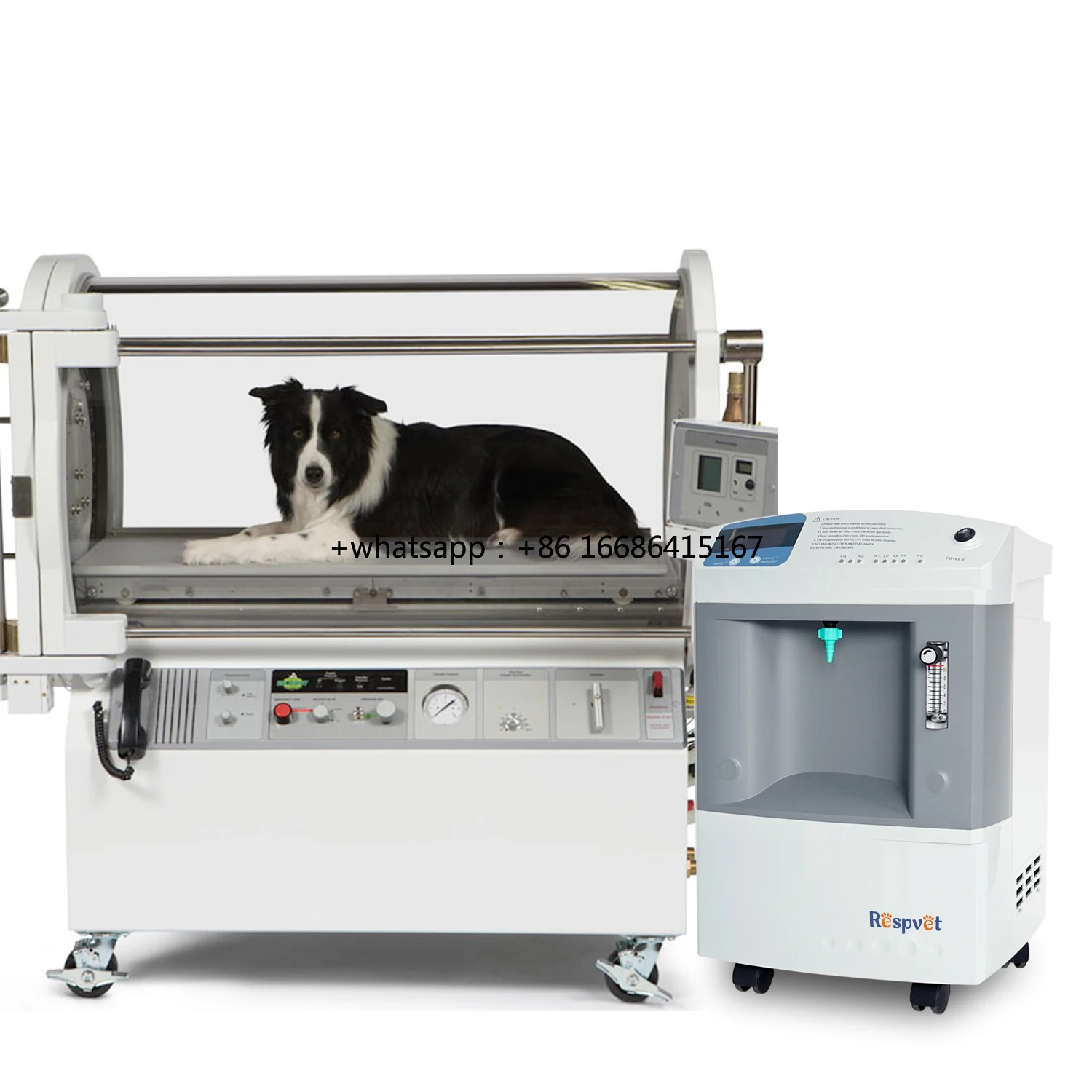 

High Purity Animal Concentrator 10L For Vet Connected To Cage