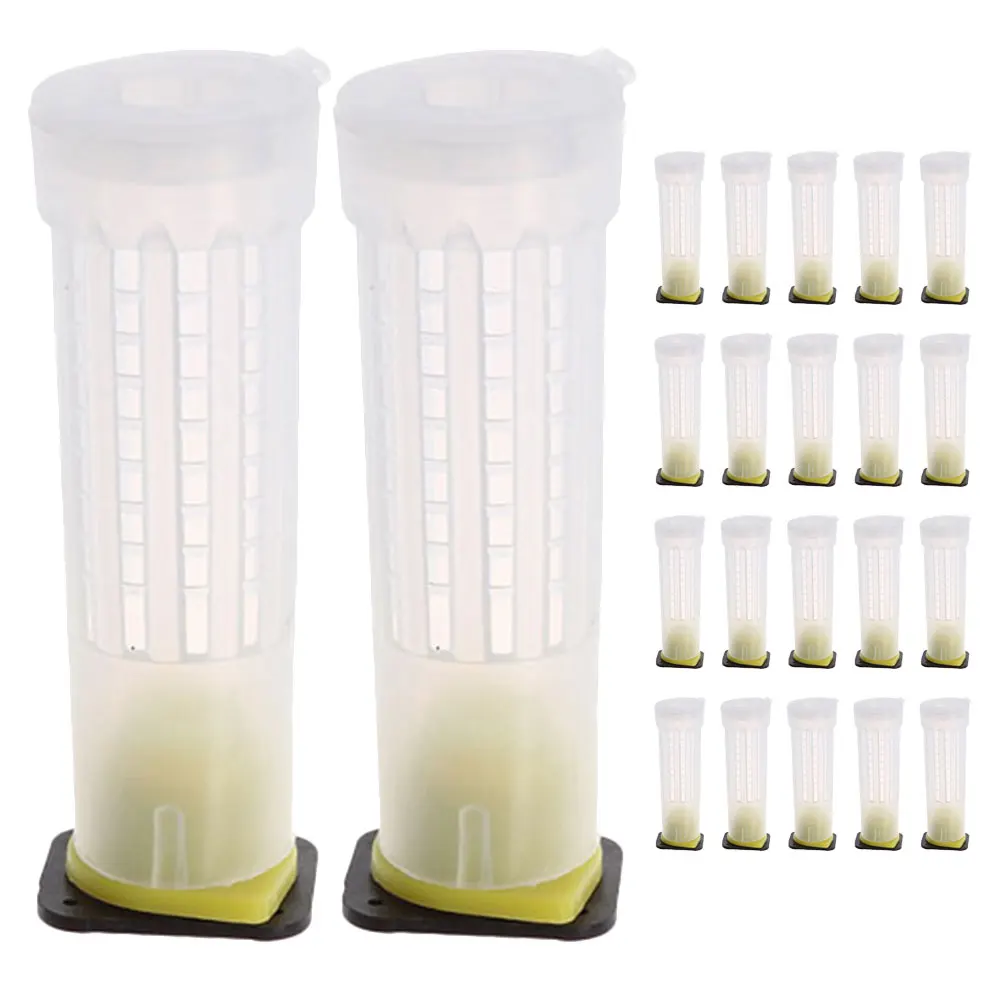 

24 Pcs Anti- Breeding Plastic Kit Beekeeping Tools Rearing Cups Incubation Bases Safe Use Storage