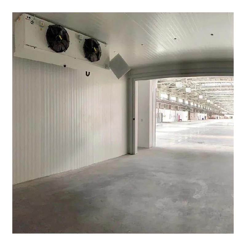 Industrial Cold Room Walk In Freezer Storage High Efficiency Customized Freezing Room For Factory Application