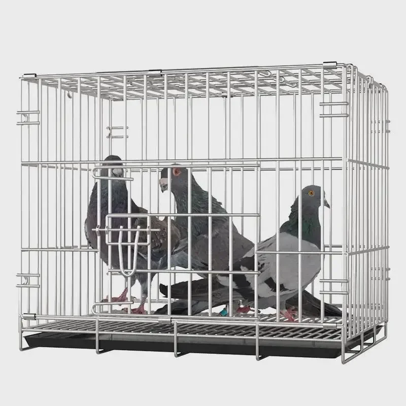 Stainless steel pigeon cage breeding large outdoor two-layer bird large space pigeon cage extra large special
