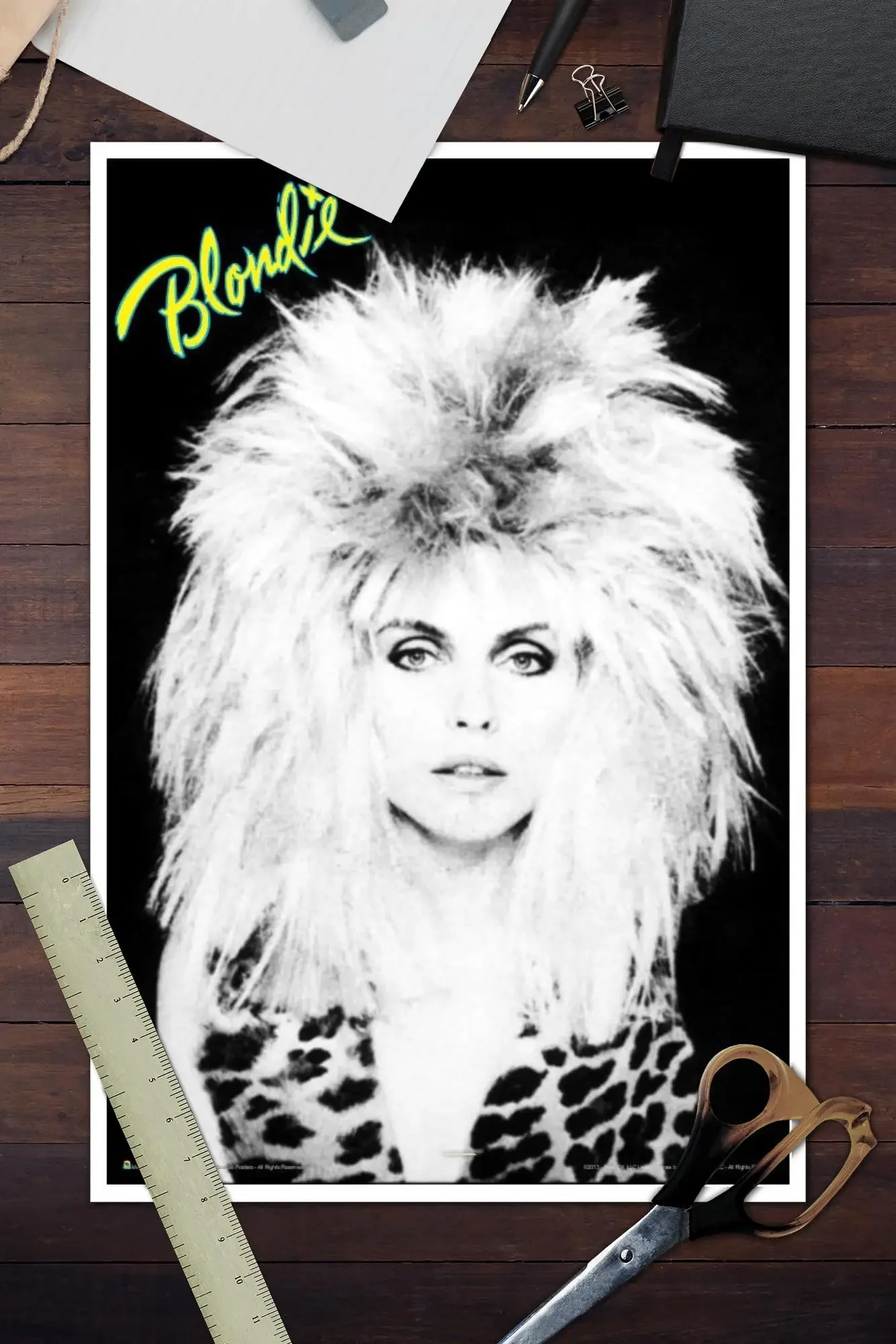 بلوندي كامب Funtime البوب الفرقة المشارك قماش ملصق فني و جدار صورة فنية طباعة الحديثة الأسرة ديكور غرفة نوم الملصقات #3