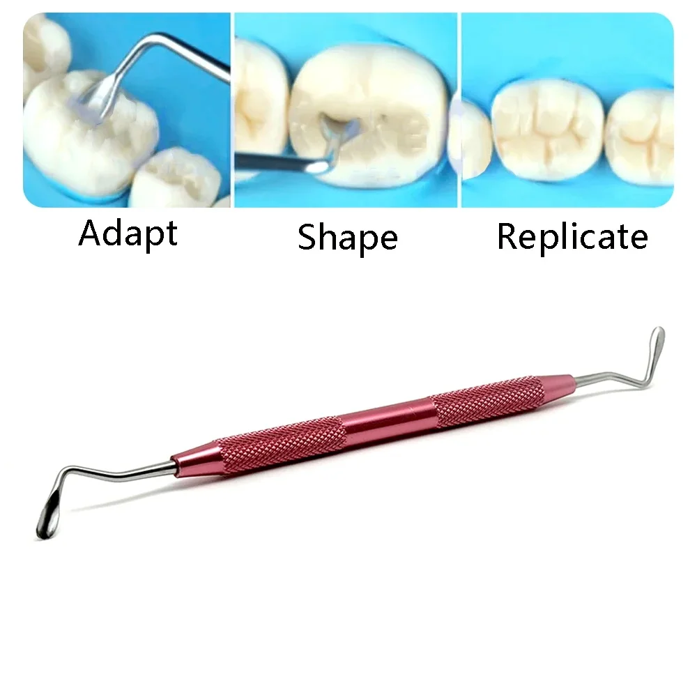 

Dental Aesthetic Restoration Replica Posterior Teeth for Simplifying Occlusal Modeling Dental Resin Filling Spatula Dental tools