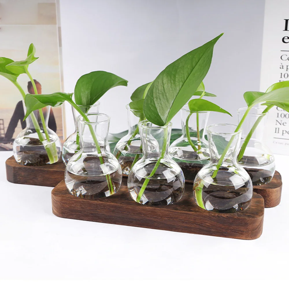 Hydroponic Plants Container Plant Glass Test Tube Terrariums Vase in Wooden Stand Flower Pots Hydroponic Plants Test Tube Vase