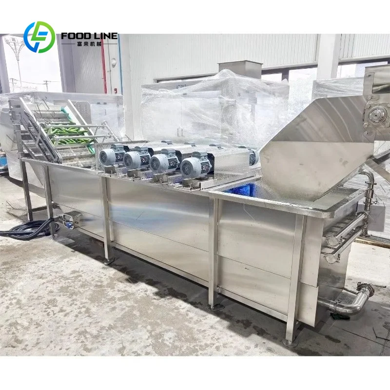 Customized Bubble Fruit & Vegetable Washer with Motor and Pump Stainless High Efficiency Cleaning Removes Soil Gently