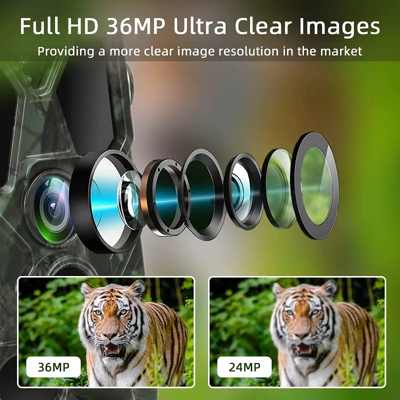 Thumbnail 3 - #1 Trending Wildlife Cameras Right Now