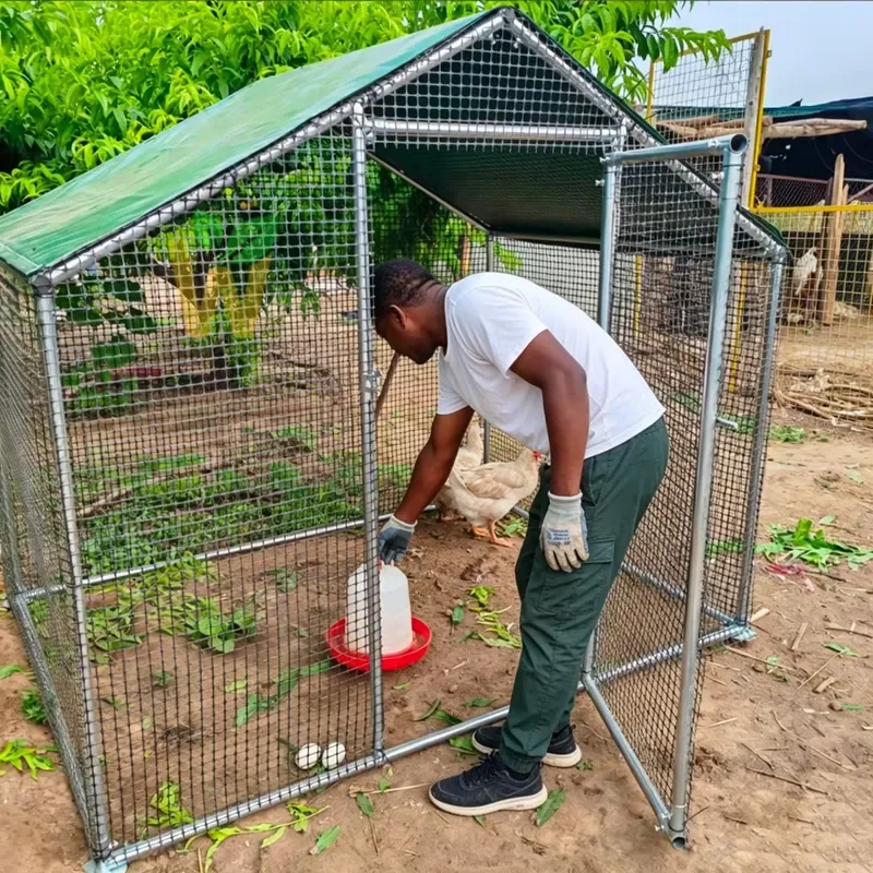 Outdoor Walk-In Fence Enclosure for Chickens Ducks Waterproof UV-Resistant Cover Hen House for Yard