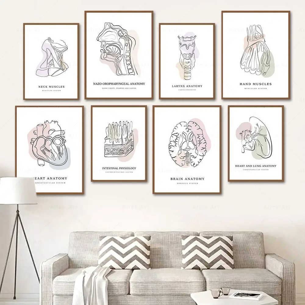 Boho Colorful Anatomy Artwork Wall Art Poster Medical Education Canvas Painting Anatomy Print Picture Clinic Decor Doctor Gift