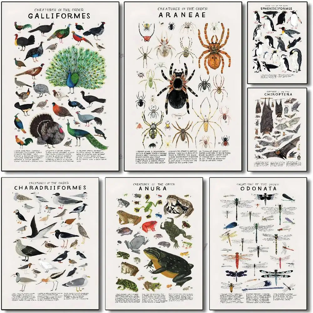 Woodland Animals Genus Generic Evolution Nursery Poster Self-adhesive Art Room Entrance Restaurant Wall Decor Art Painting