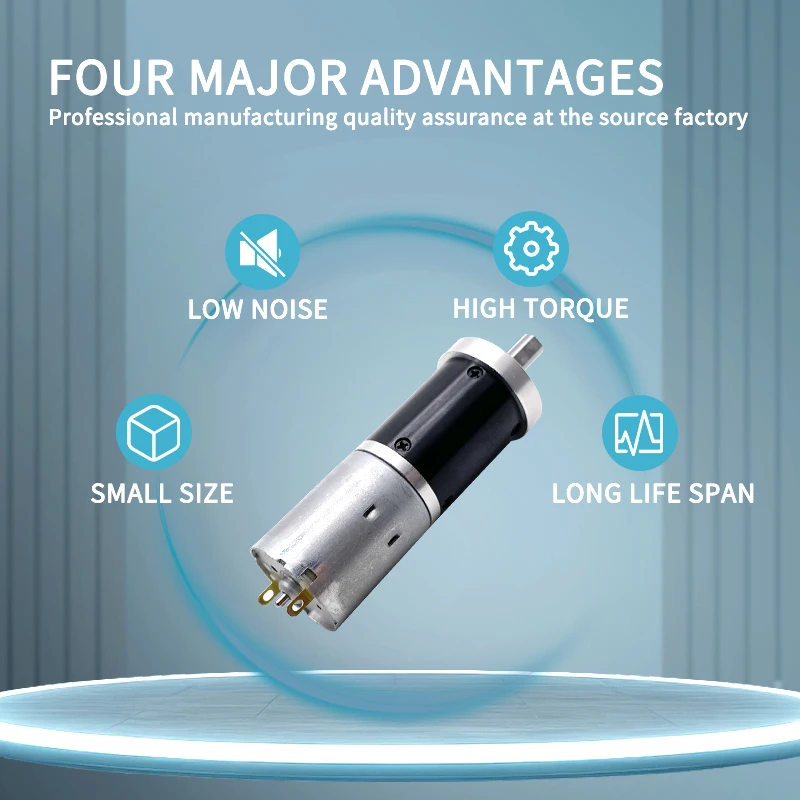 24mm Brushless DC Gear Motor 12V 24V High Torque High Efficiency Panel Mount Drip-Proof Permanent MagnetSupports Customization