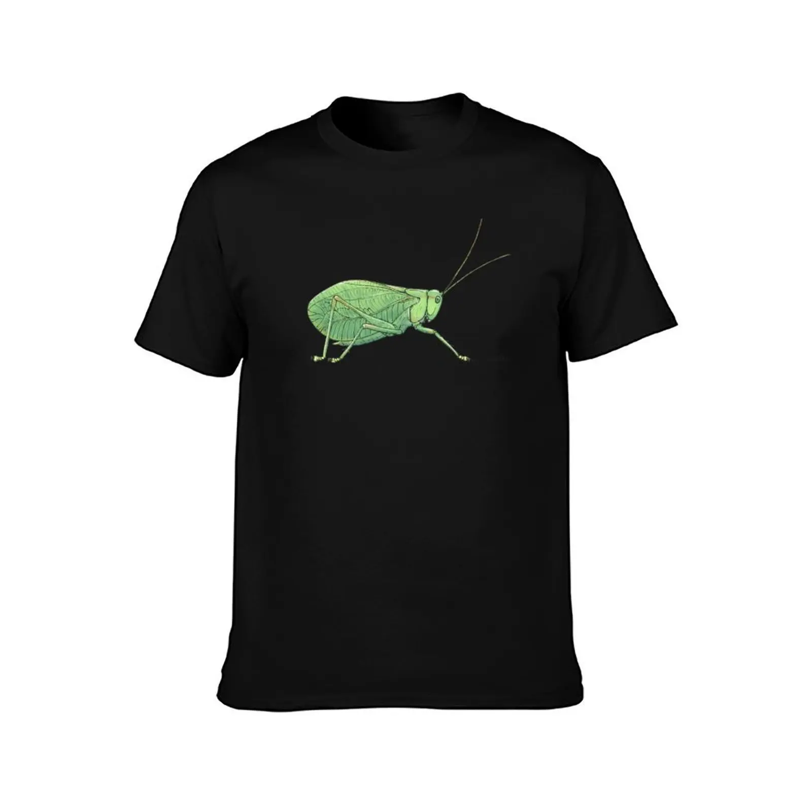Permotettigonia gallica T-Shirt Plus Size Simple Casual Top T-Shirt