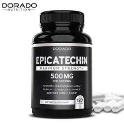 Epicatechin Capsules 500 Mg Per Serving - (120 Capsules) - Supports Lean Muscle, Nitric Oxide, Carnosine Inhibitors, Endurance