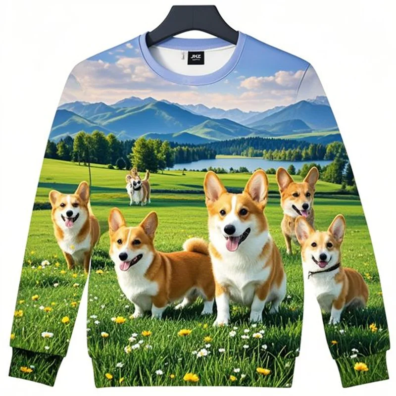 Smiles Corgi Sweatshirts Grassland Scenery Men Women Kid Clothes Overszize Harajuku Pullover Casual Sports Tops Sheepdog Hoodie