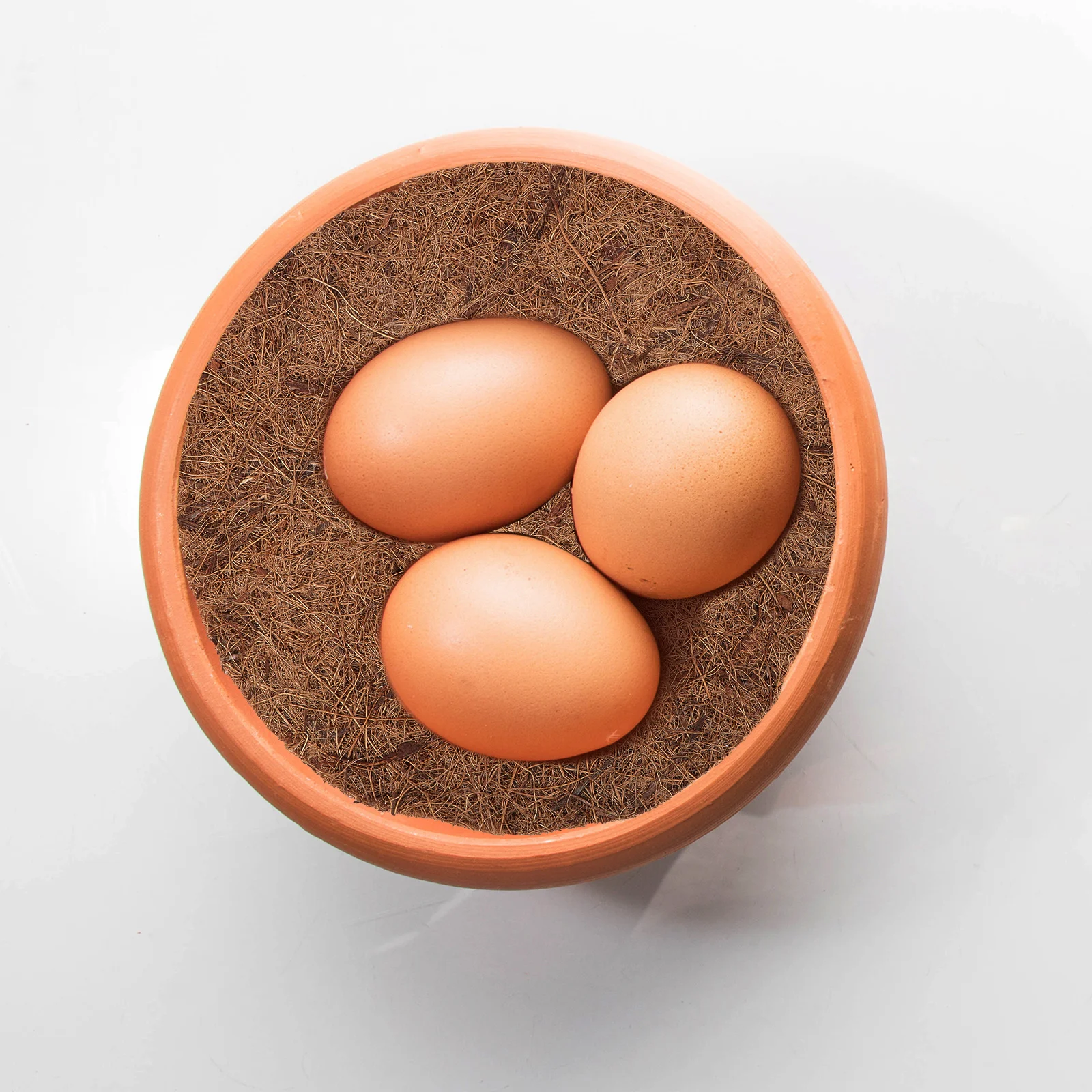 

12pcs Coconut Fiber For Nest Durable Washable Egg Protector Large Capacity Breeding Accessory Bird Nest Mat Bird Grass Mat