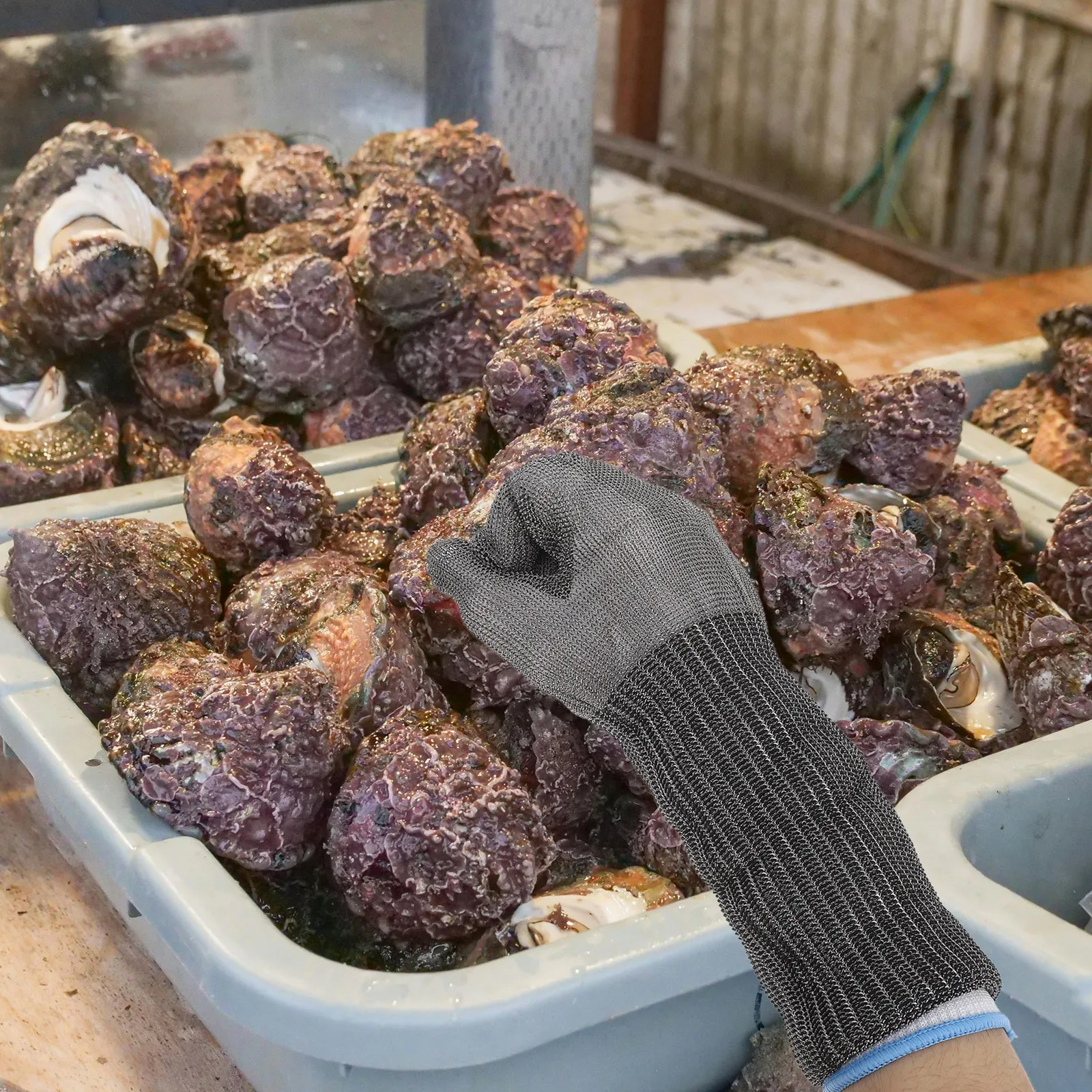 1Pair Stainless Steel Wire Cut Resistant Gloves Extended Length for Kitchen Cutting Meat Processing Oyster Shucking Safety