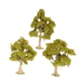 deciduous tree