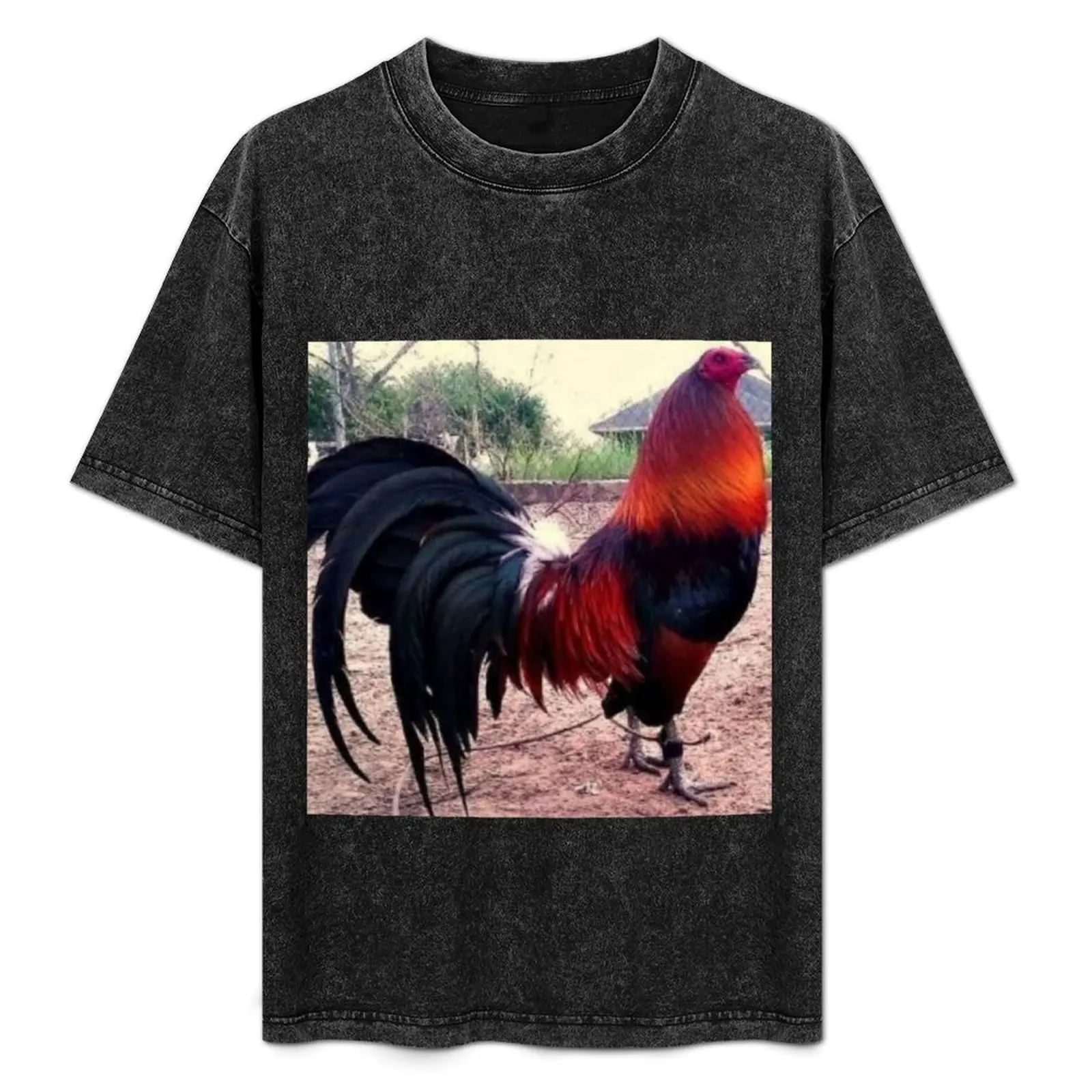 Rooster, red, fighting, fine T-Shirt Big Size Short Sleeve Casual Top