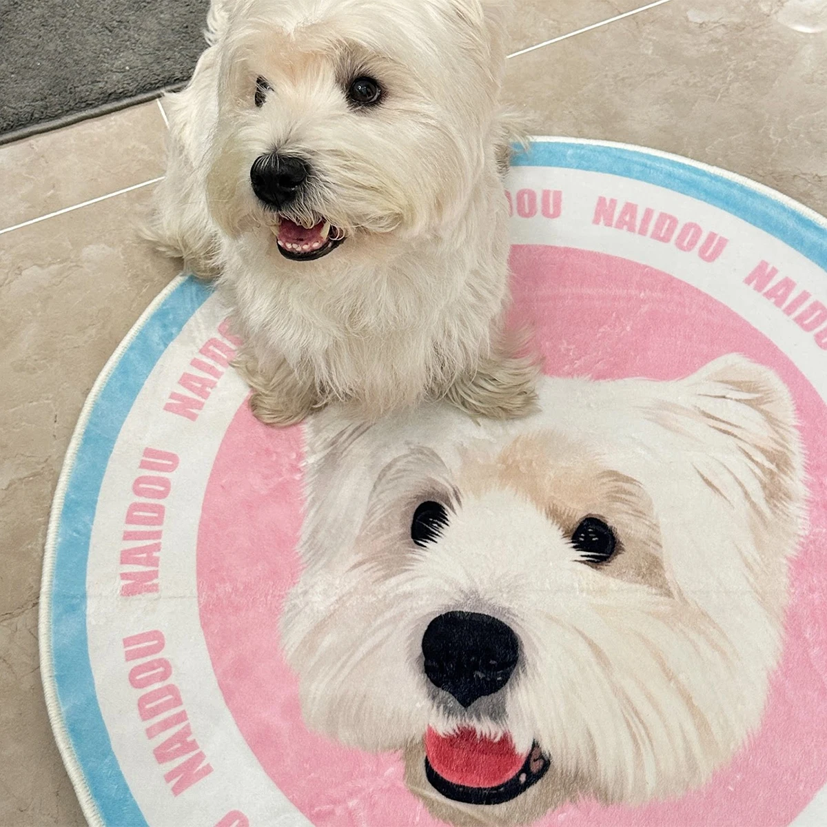 Round Carpet for Pet Portrait Custom Rug Cute Fashion Decorate Printed Mat Soft Plush Room Rugs Machine Washable Floor Mats 원형러그