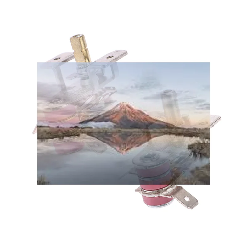 Vp New 1Pc Thermost…