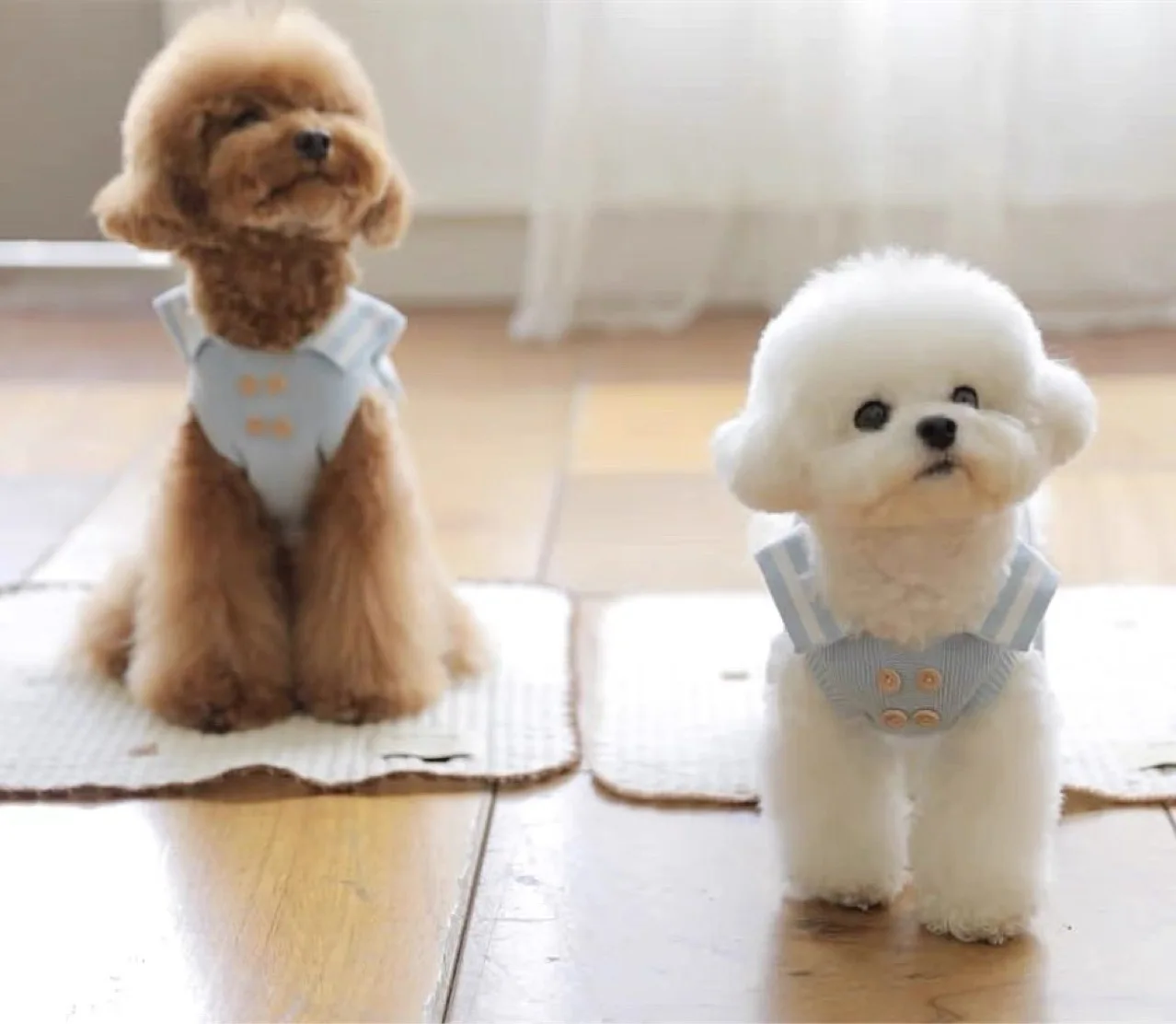 Pet Knitted Sweater Dog Autumn/Winter Dress Teddy Bears Maltese Yorkshire Small Dog Cat Dog Clothes for Small Dogs Puppy Clothes