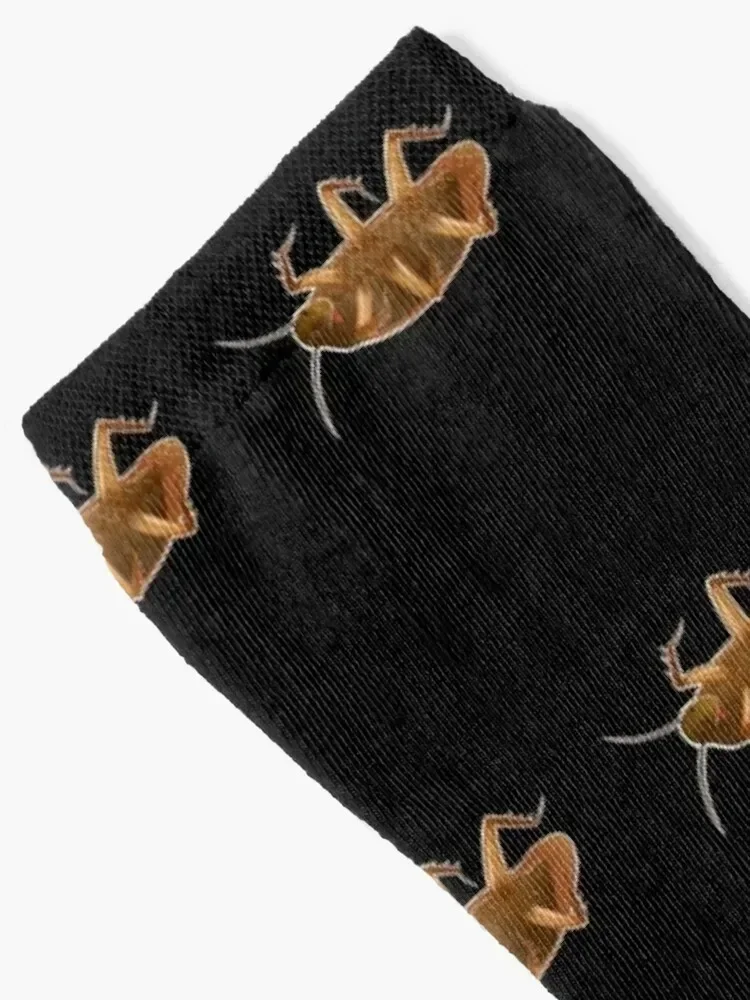 Dead Cockroach Laying on Back Socks warm winter cool moving stockings Socks Woman Men's