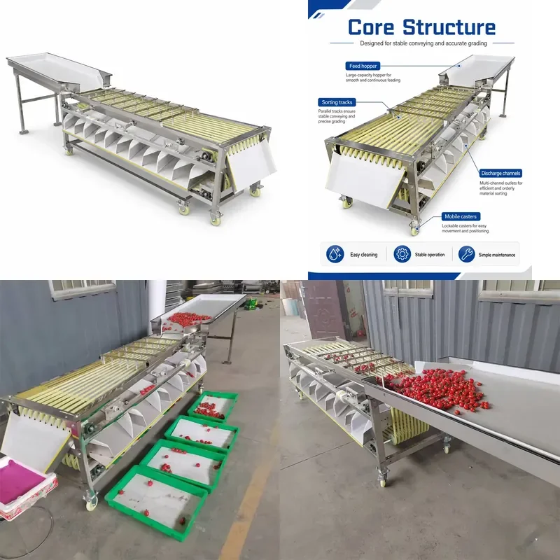 for YUMO QFS280 PLC Control Automatic Track Fruit Sorter for Cherry Tomato Orange Kumquat Size Grading Sorting Machine
