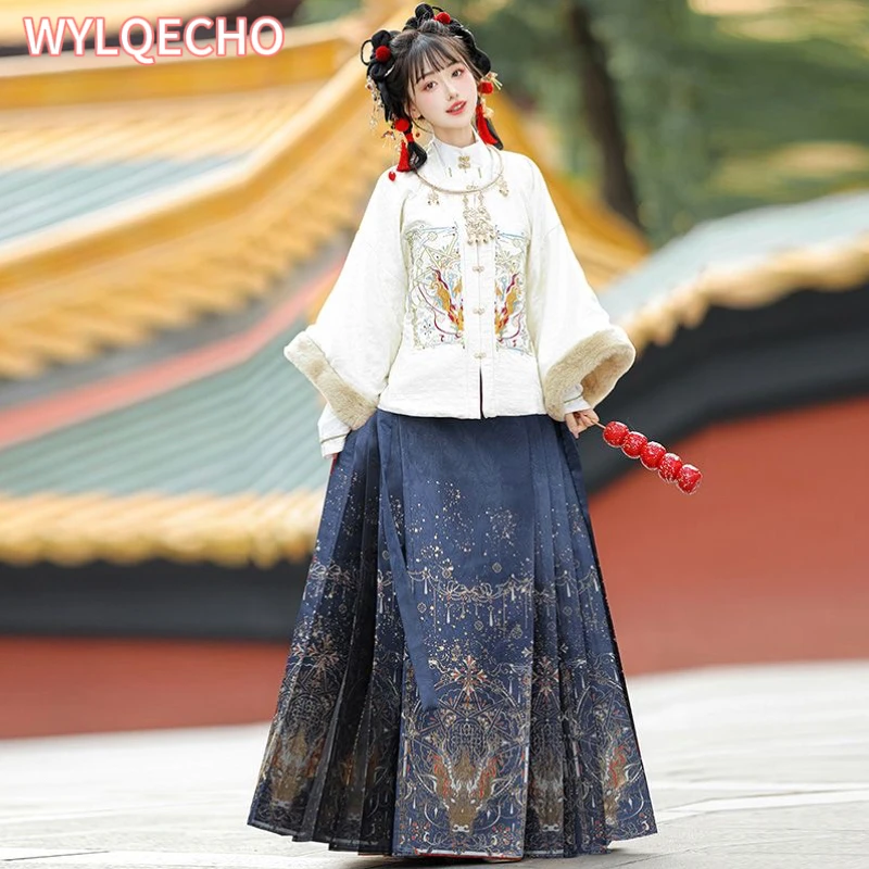 Trajes tradicionais chineses femininos, hanfu, saia bordada com rosto de cavalo, pelúcia e grossa, roupas de ano novo, estilo Ming