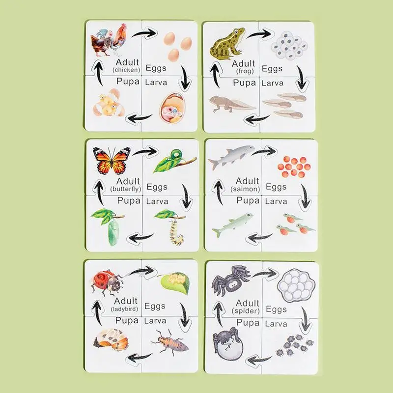 유치원 과학 장난감 재미 있은 유치원 과학 키트 학습 장난감 교육 도구 3-6 세 어린이를위한 대화 형 퍼즐 게임