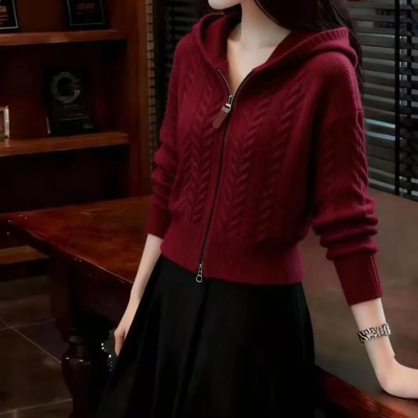 Slimming Knitted Zipper Hoodie Women's Autumn Winter Soft Yarn Twist Sweater Fashion Lazy Style Princess Sleeve Coolmax Fiber