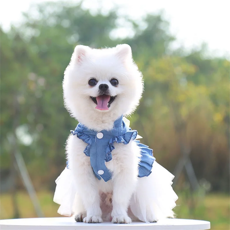 Sommer Hund Kleidung Pet Denim Kleider für Kleine Hunde Pommerschen Chihuahua Welpen Kätzchen Rock Prinzessin Kleid Rosa Mädchen Kleidung