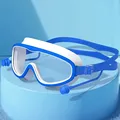 C161-blue white