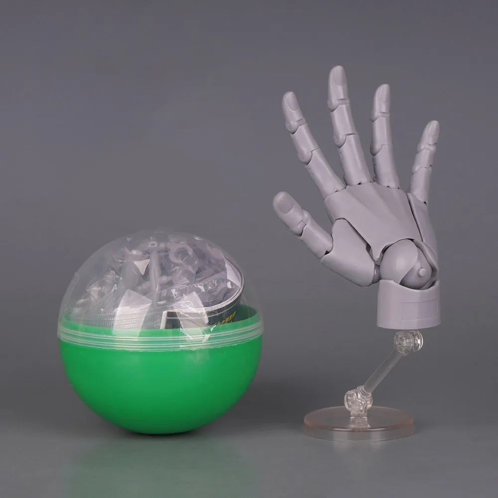1:2 Scale Human Hand Model Mini Size Movable Joints Palm Model Twisted Egg Design With Posable Fingers Simulation Palm