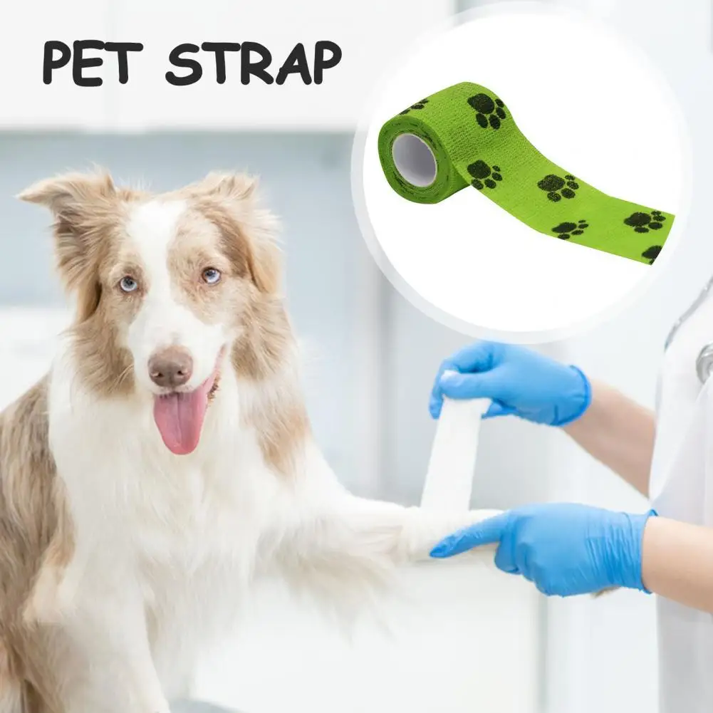Self-adhesive Elastic Bandage For Pet Nonwoven Bandage Cover Protector Dog Outdoor Retractable Sports Tape Self Adherent Bandage