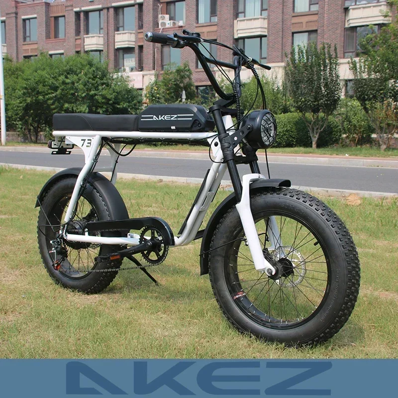 SUP73 Electric Bike 1500W 48V18AH battery Leisure commuting with Hydraulic Brake Electric Bicycle 20 inch tire off-road E-bike image 3