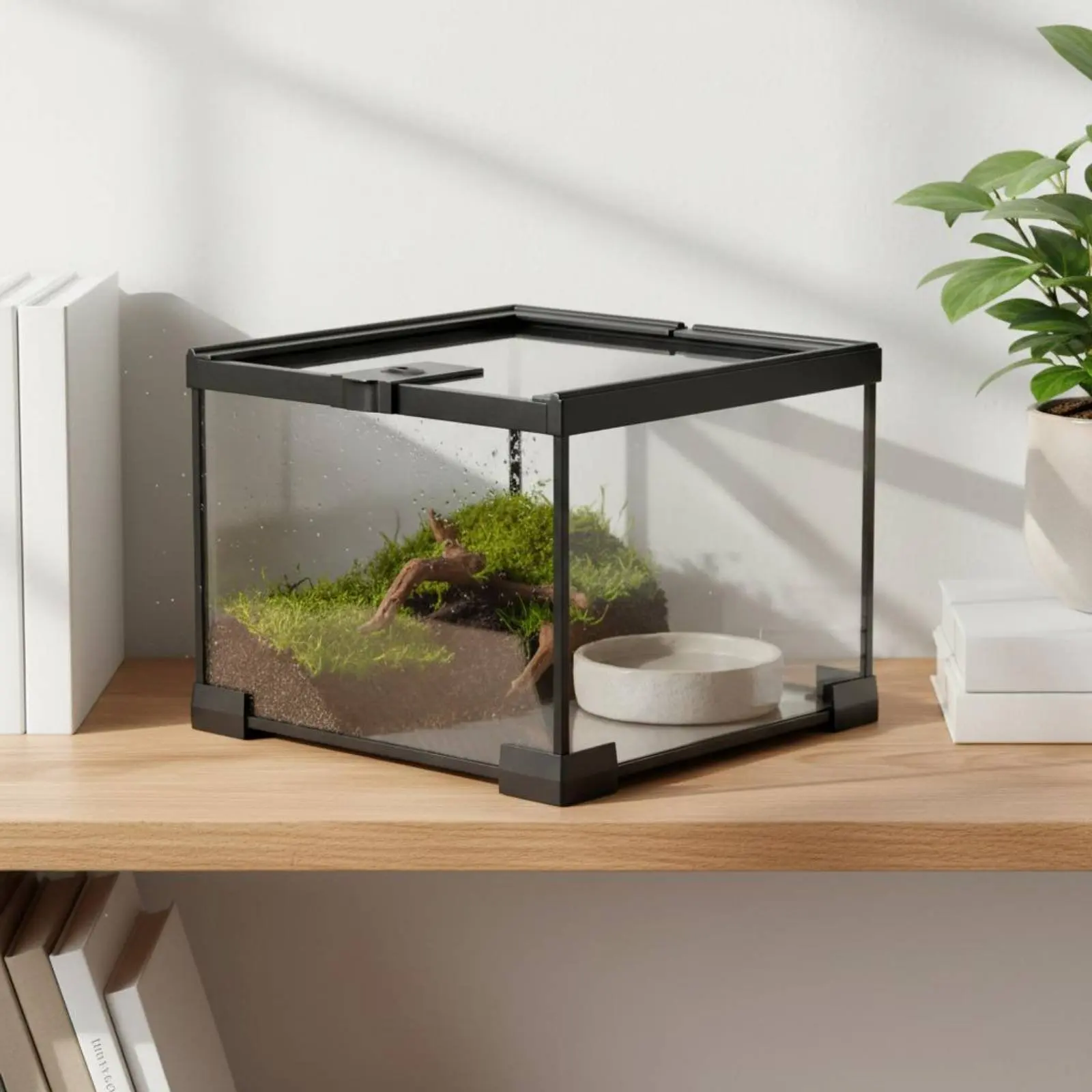 Stackable Amphibian Enclosure Secure Lock Reptile Habitat Panoramic Amphibian Enclosure Sturdy Construction Stackable Glass