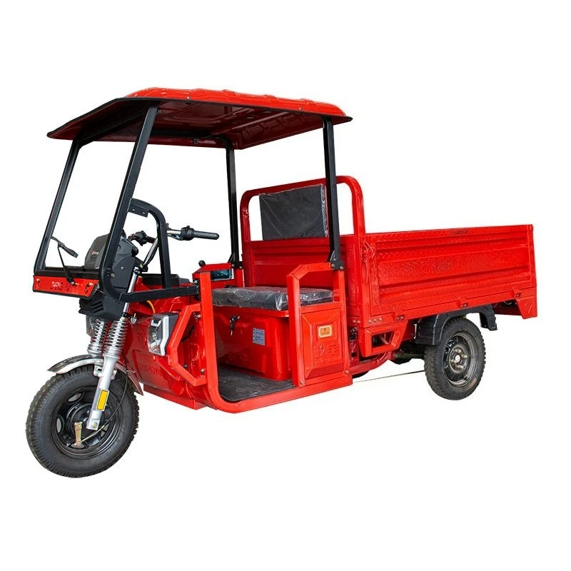 Factory Price Electric Motorcycle Tricycle 850W-1000w Electric Cargo Tricycle 3 Wheel Electric Bike for Adults