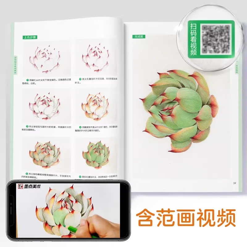 Comprehensive Basic Course of Colored Pencil Book Beginner Zero Foundation Explanation of Animals, Flowers, Fruits and Vegetable