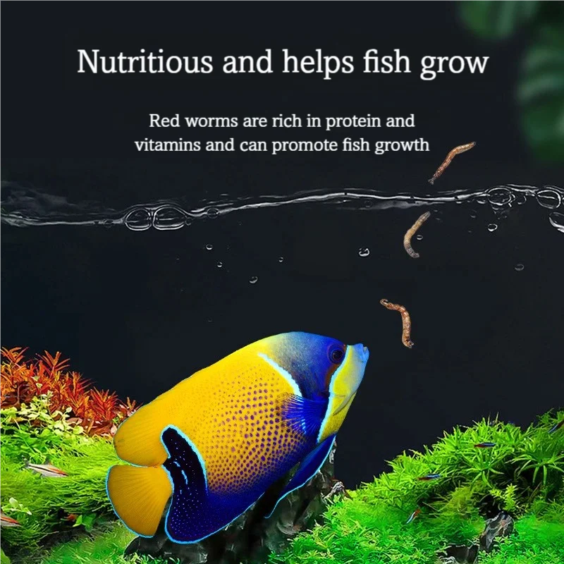 Dry Redworms High Protein Freeze Dried Bloodworms For Marine & Tropical Fish, Natural Food for Guppy, Betta,Turtle, Reptile view 3