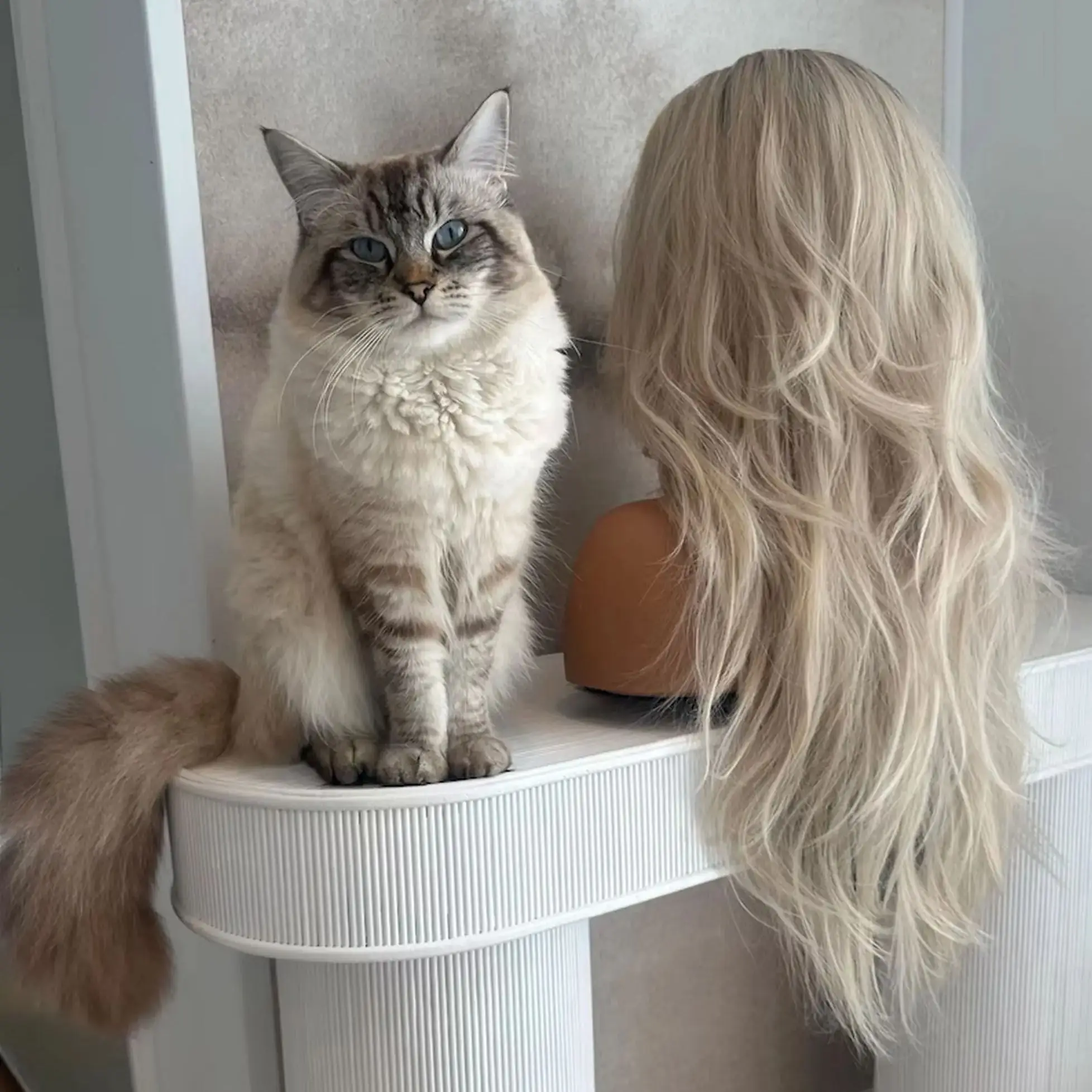 

Soft 24 Inches White Blonde Front Lace Wigs Ombre Middle Parting Long Length Body Wave High Quality Glueless Wigs Synthetic Hair