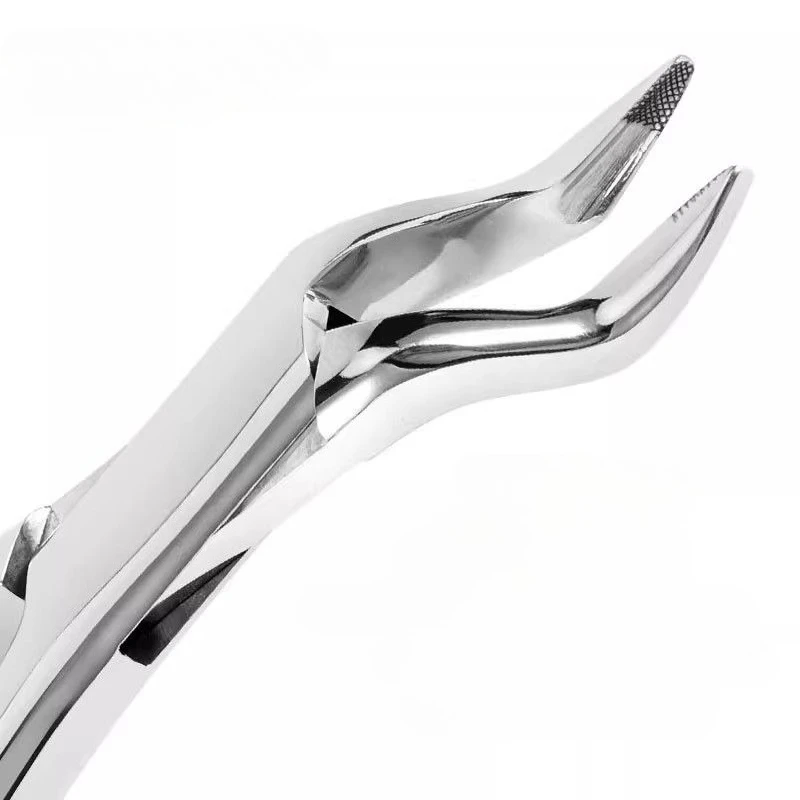 Dental Adult Extraction Forceps Upper Lower Jaw Dental Forceps Non-slip Handle 8L/8R/151/150 Dental Universal Instrument Tool view 3