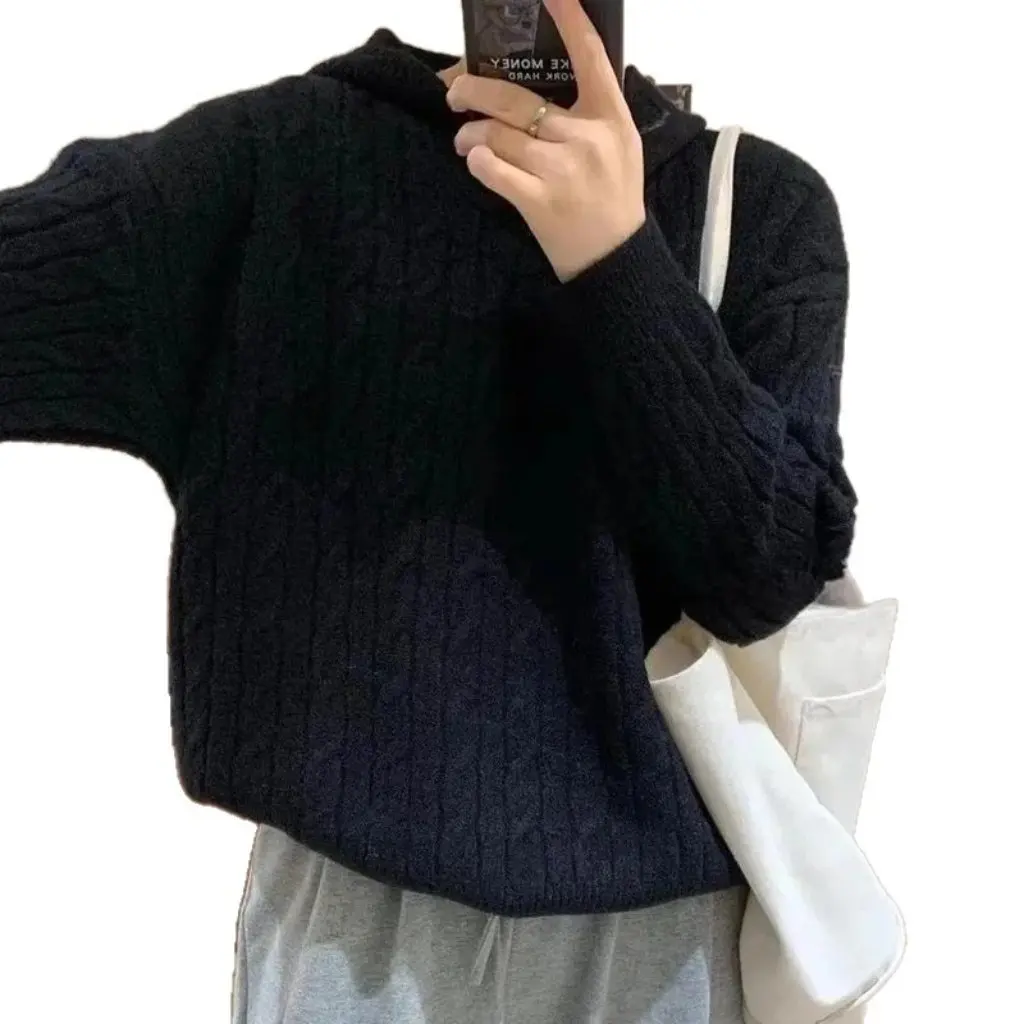 

Women's Loose Solid Color Hooded Twist Sweater Autumn Winter Fashion Stylish Base Top Design Sense Casual Knitwear