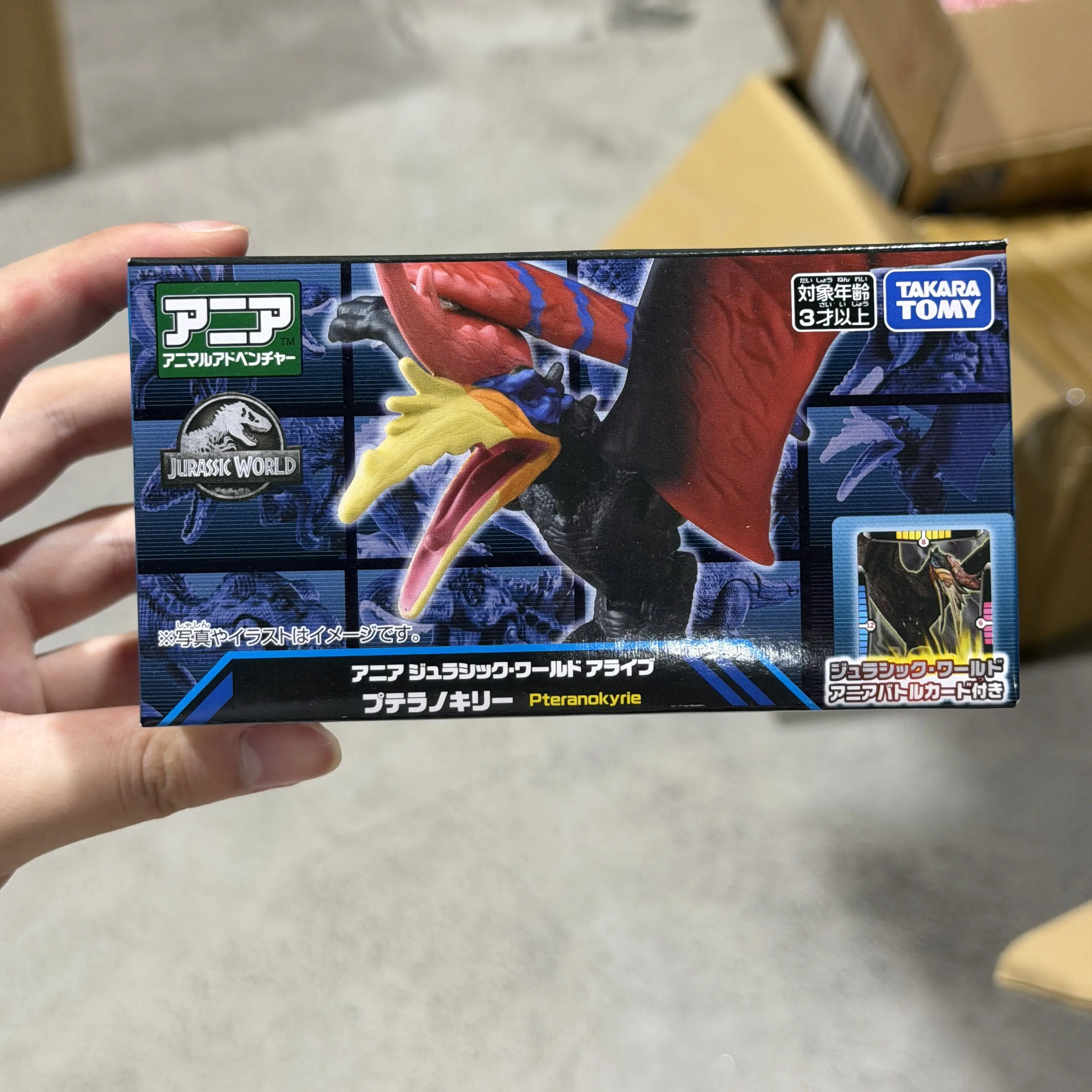 Original Tomy Jurassic World Pteranokyrie Dinosaur Toy Movable Simulation Model Collectible For Dinosaur Enthusiasts