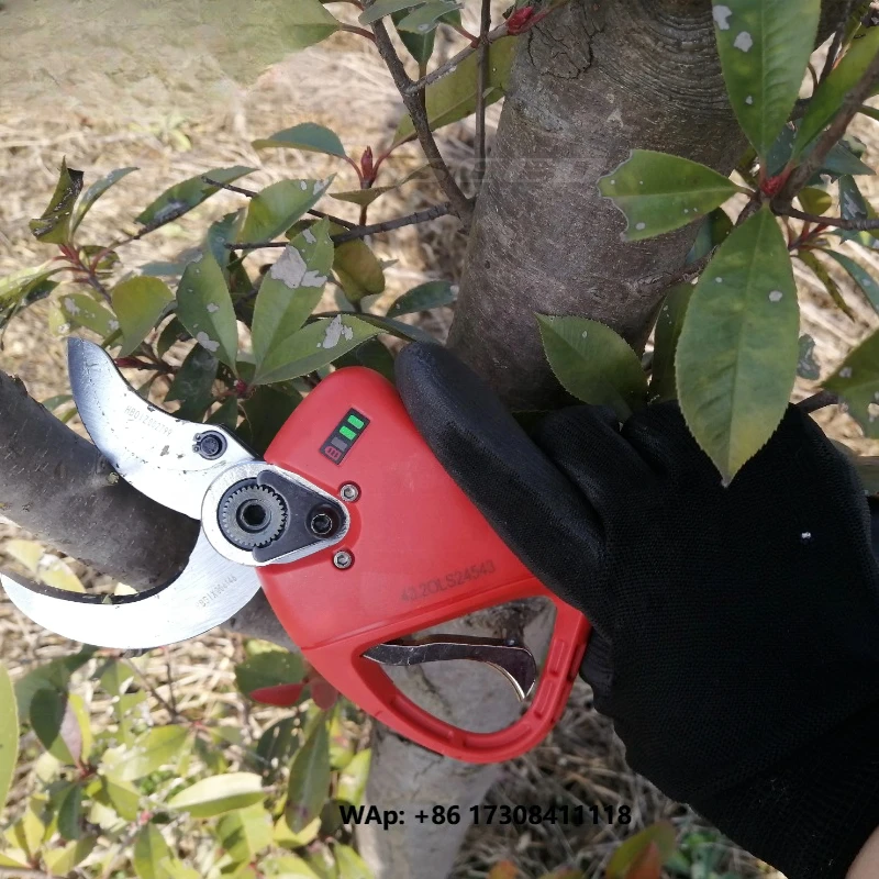 Progressive Type Anti-cutting Hand Lithium Battery Electric Pruning Shears,garden Scissors Electric in Pruning Shear